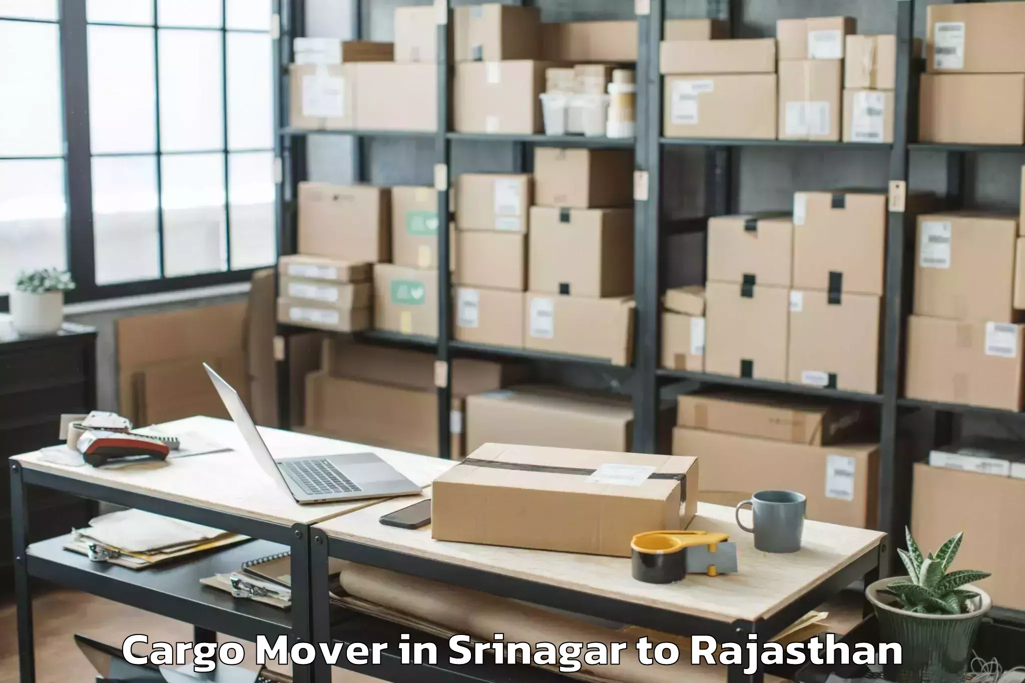 Book Srinagar to Balesar Cargo Mover